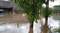 Di Balik Banjir Pemogan ! PDAM Badung Untung Warga Buntung