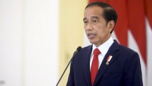 Mengapresiasi Keberhasilan Misi Damai Jokowi
