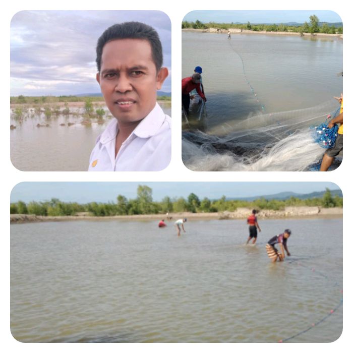 Dinas Ketahanan Pangan dan Perikanan Siap 120 ribu nener  Dilepaskan pada Tambak Ikan