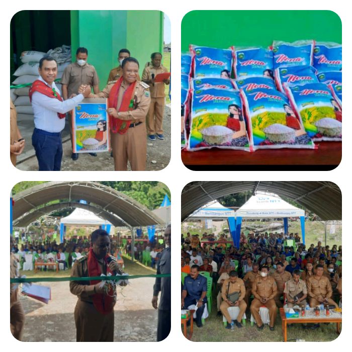 Capaian Sakti “Clear” di Akhir Tahun 2022