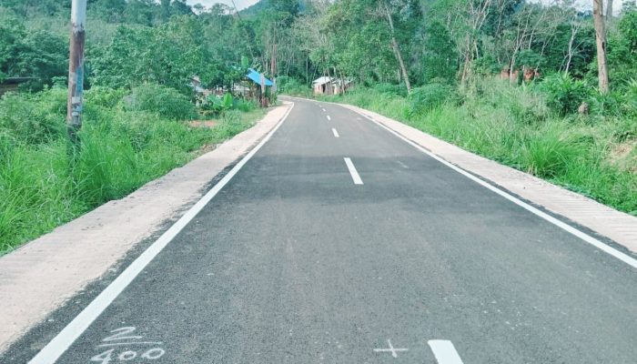 Awal tahun 2024, masyarakat Kabupaten Pasaman, khususnya di Kecamatan Mapat Tunggul, menyambut gembira hasil proyek pengaspalan jalan yang menghubungkan Simpang III Benai ke Koto Tongah oleh Kontraktor Putra Pasaman PT Aura Mandiri Sejahtera, sumber dana Anggaran Pendapatan dan Belanja Daerah (APBD) Kabupaten Pasaman tahun anggaran 2023, Rp17,7 miliar.