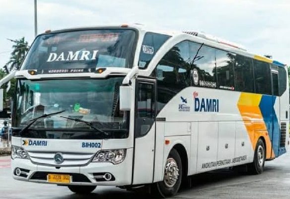 Ilustrasi bus DAMRI