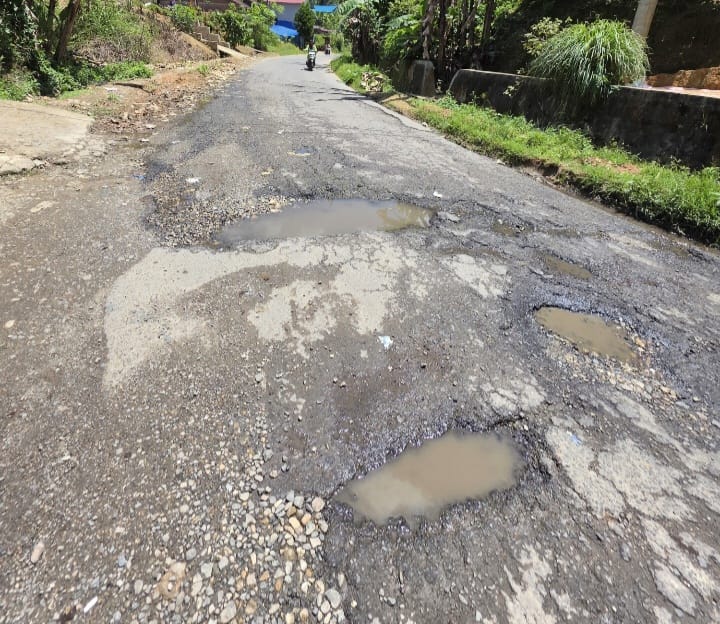 Dana Pemeliharaan Dipertanyakan, Ini Penampakan Jalan Provinsi di Pasaman Rusak dari Tahun ke Tahun