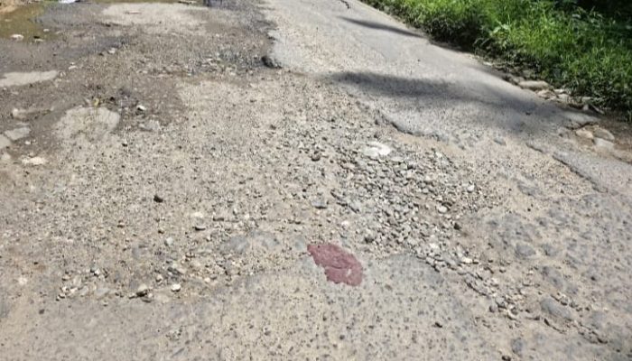 Penampakan ruas jalan provinsi Sumatera Barat Panti–Simpang Empat, Sabtu (29/8/26)