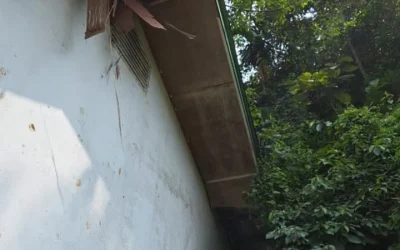 Memprihatinkan! SDN 242 Ranjo Batu Mandailing Natal, Fasilitas Rusak, Rumput Liar dan Sampah Berserakan