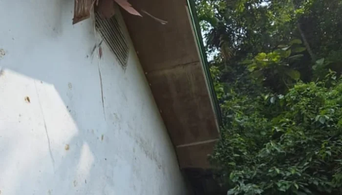 Kondisi SD Negeri (SDN) 242 Ranjo Batu, Desa Ranjo Batu, Kecamatan Muara Sipongi, Kabupaten Mandailing Natal (Madina), Sumatera Utara