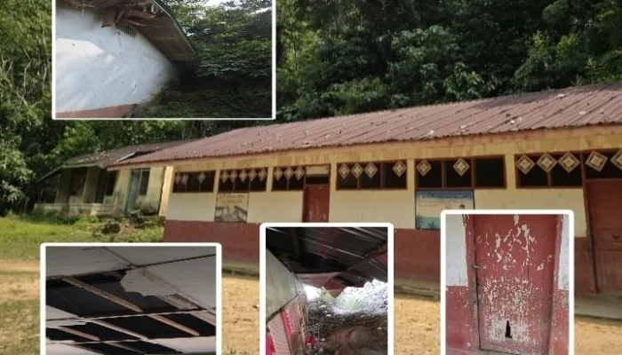 Kondisi SD Negeri (SDN) 242 Ranjo Batu, Desa Ranjo Batu, Kecamatan Muara Sipongi, Kabupaten Mandailing Natal (Madina), Sumatera Utara, September 2026.